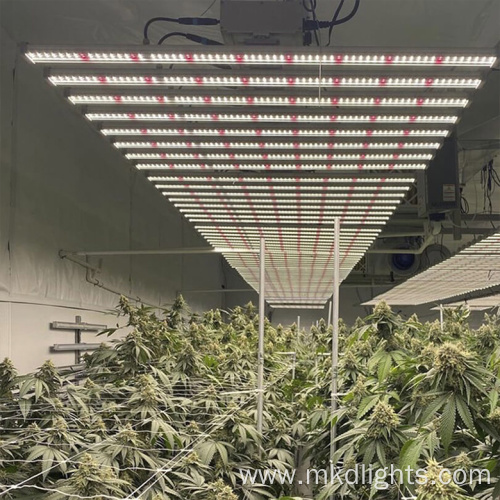 1000 W Led Plant Grow Panel Light